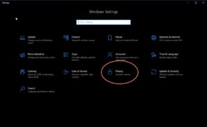 screenshot of Windows 10 settings with privacy option circled